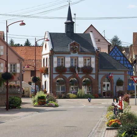 Cosy Holiday Home In Schleithal With Garden エクステリア 写真