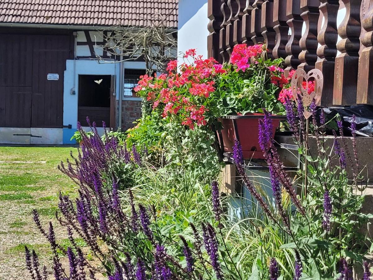 Cosy Holiday Home In Schleithal With Garden エクステリア 写真