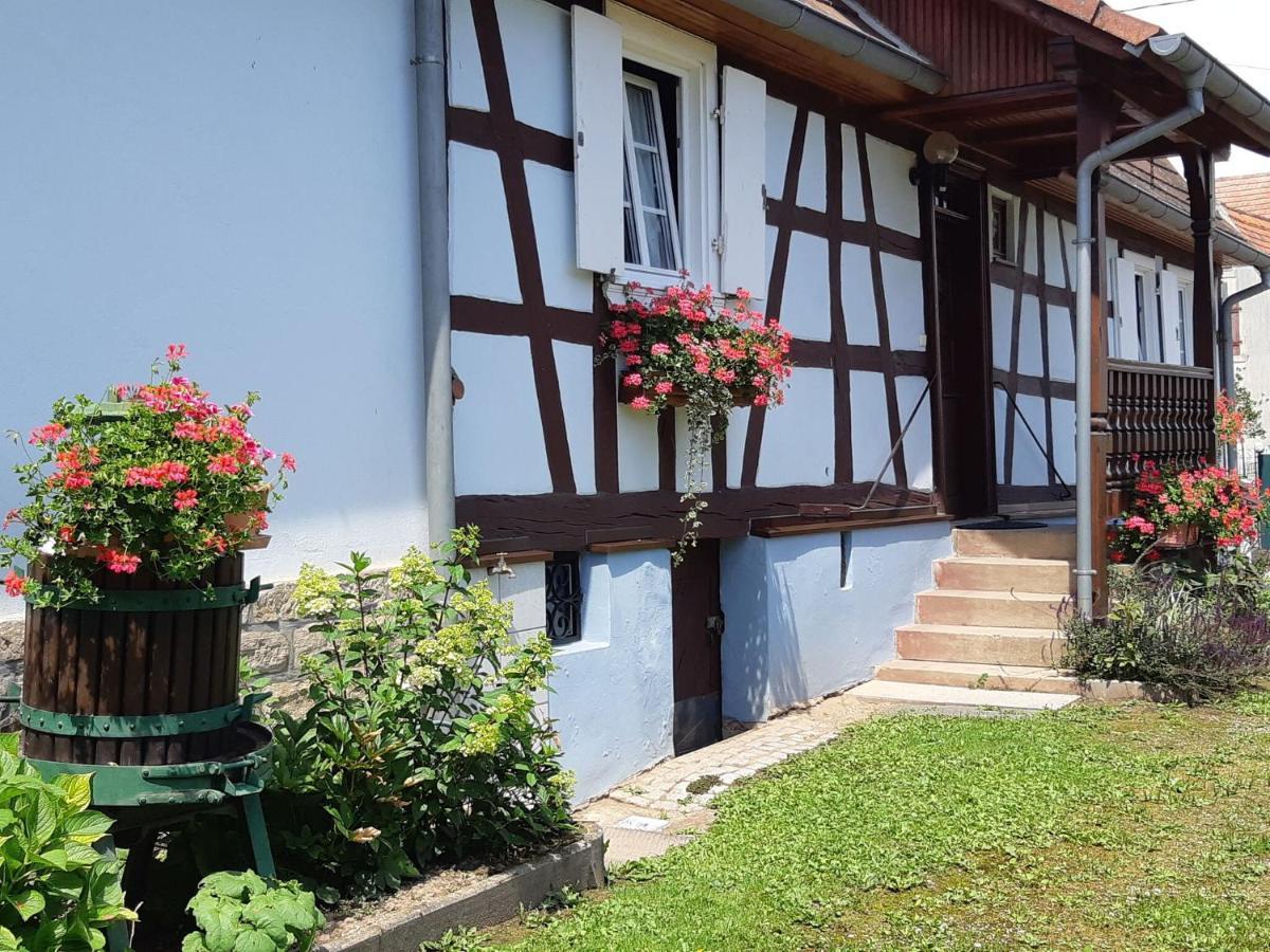 Cosy Holiday Home In Schleithal With Garden エクステリア 写真
