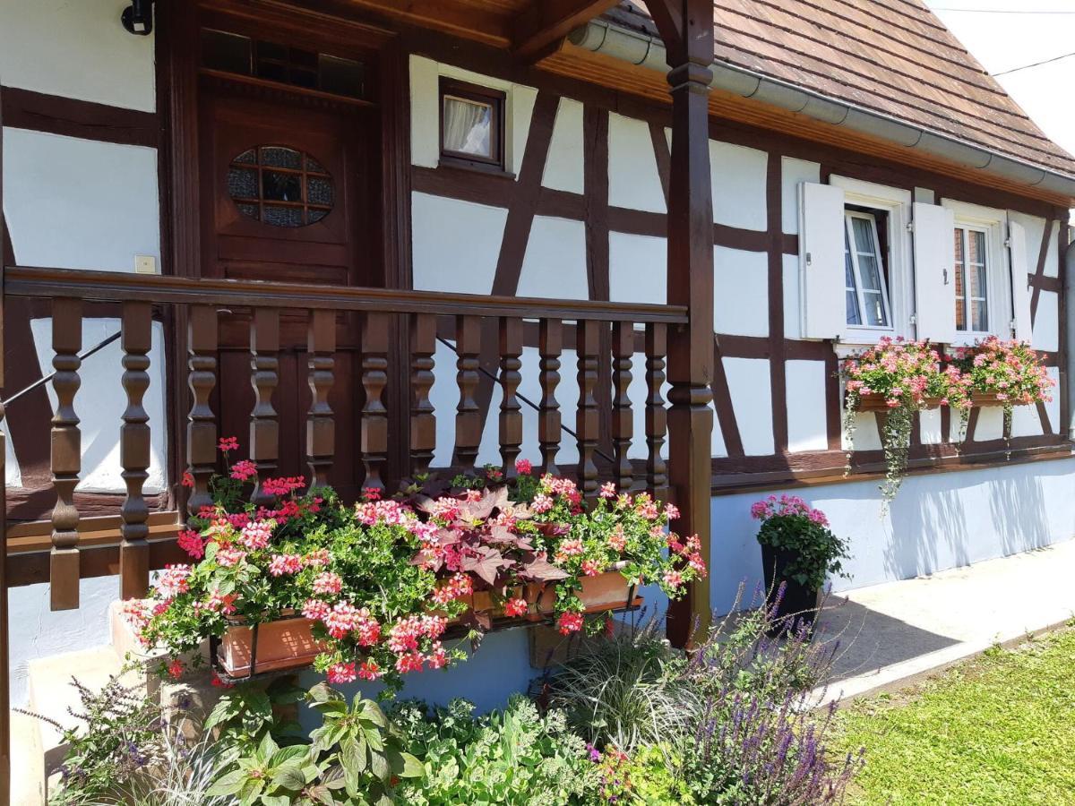 Cosy Holiday Home In Schleithal With Garden エクステリア 写真
