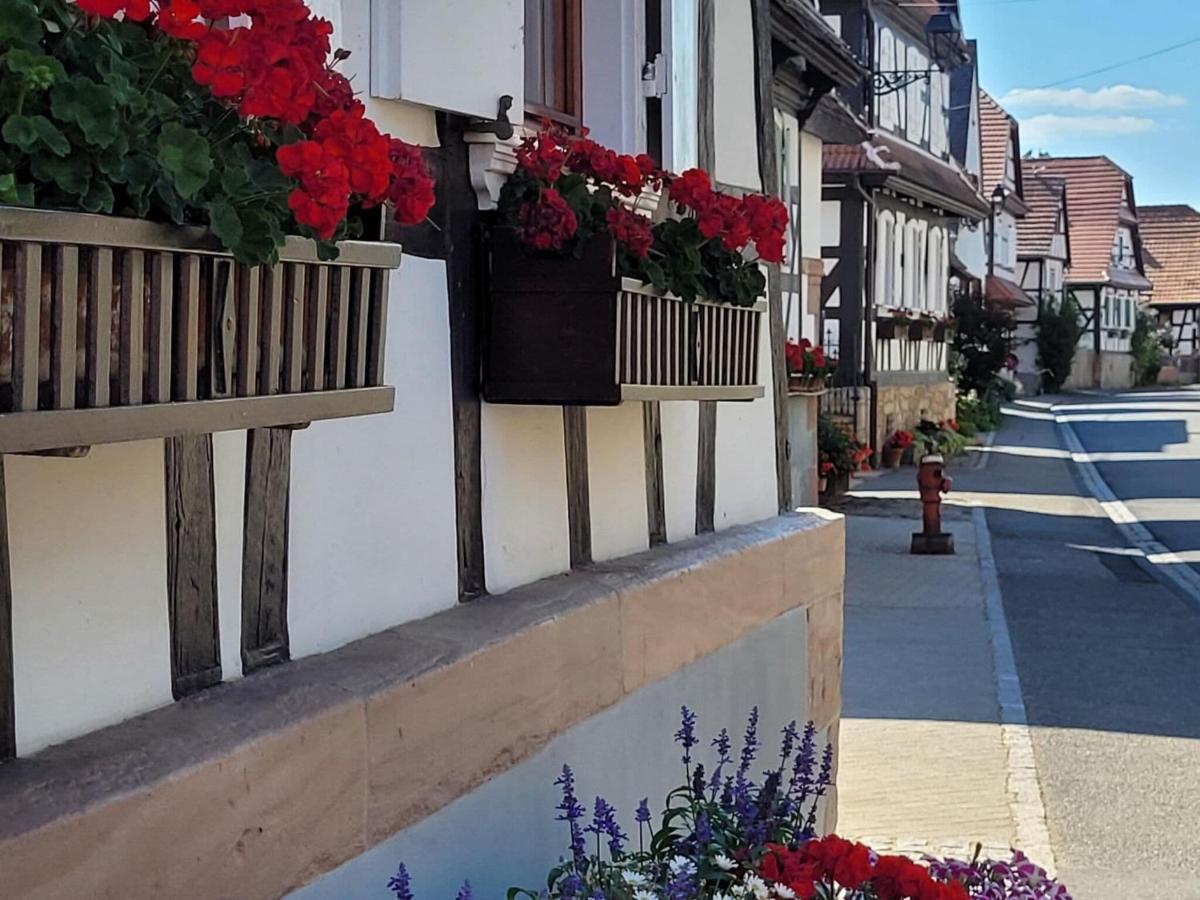 Cosy Holiday Home In Schleithal With Garden エクステリア 写真