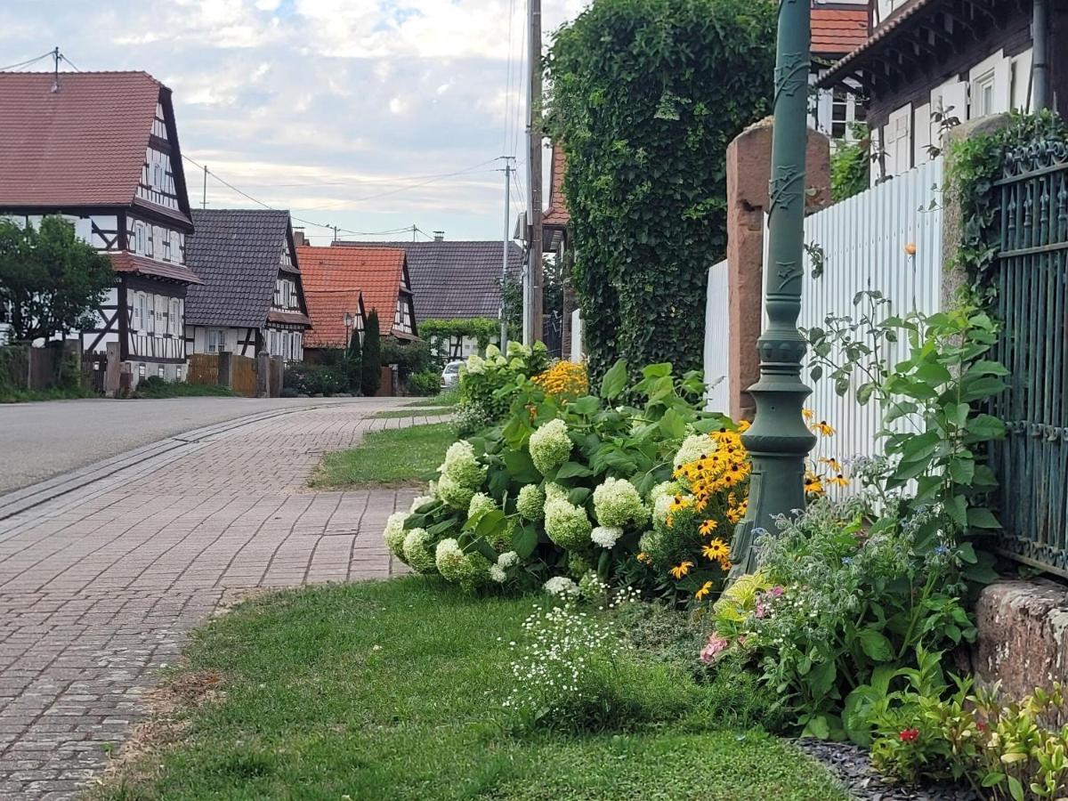 Cosy Holiday Home In Schleithal With Garden エクステリア 写真