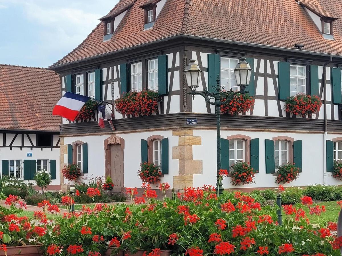 Cosy Holiday Home In Schleithal With Garden エクステリア 写真